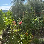 Charmante Maison En Pierre Avec Jardin Дом отдыха *