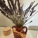 Charmante Maison En Pierre Avec Jardin *