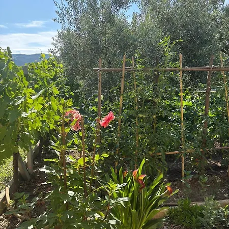 Charmante Maison En Pierre Avec Jardin Holiday home *