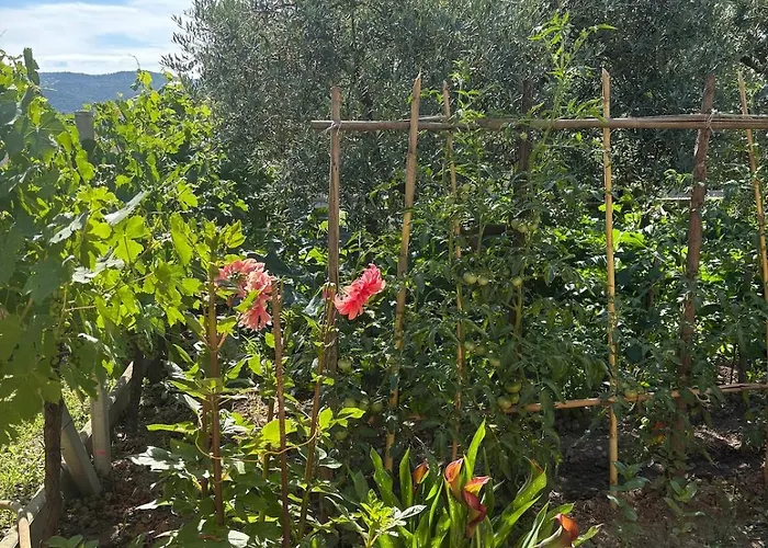 Charmante Maison En Pierre Avec Jardin Holiday home *