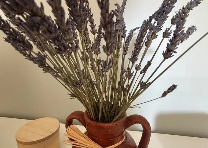 Charmante Maison En Pierre Avec Jardin *